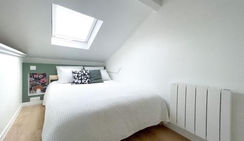 Deluxe One-Bedroom Apartment with City View