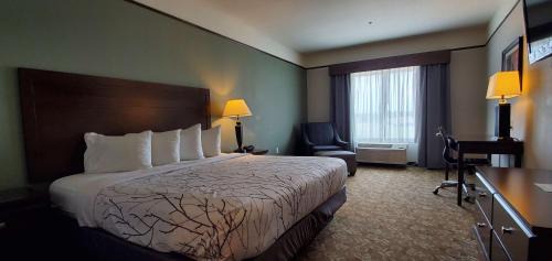 King Room - Non-Smoking