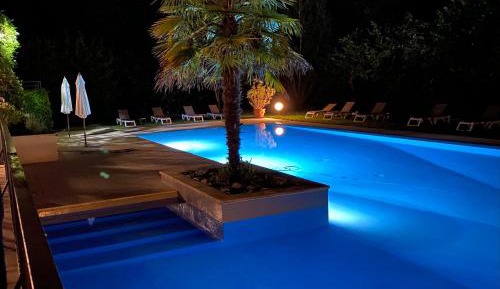 Queen Room with Pool View