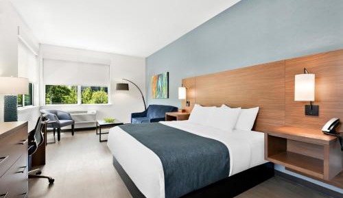 Hayward Building Pet Friendly King with Sofa Bed
