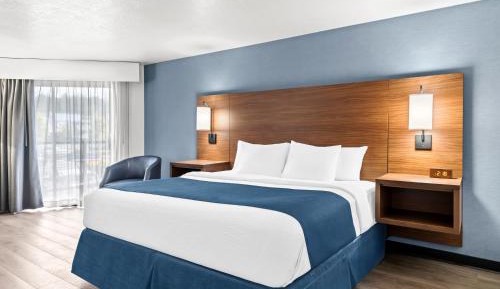 Franklin Building Pet-Friendly King 
