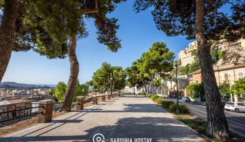 Three-Bedroom Premium Apartment