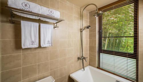 Deluxe Mountain View Room 