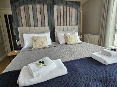 Deluxe Double or Twin Room with Lake View