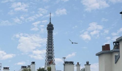 Chambre Double vue Tour Eiffel