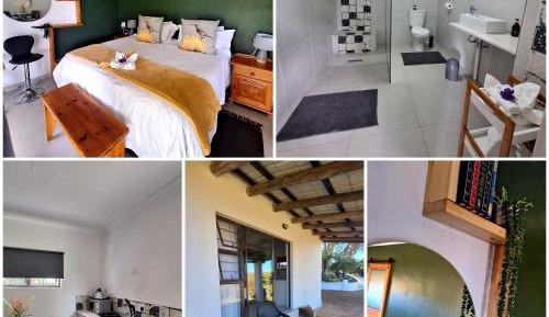 Studio with Garden View