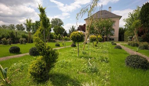 Superior Studio - Suzanne