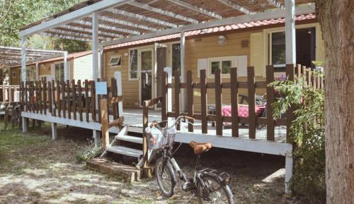 Mobile Home