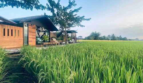 Double Room with Mountain View