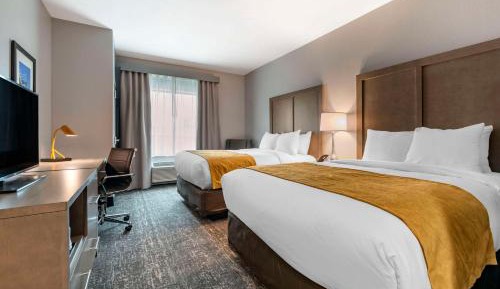 Standard Queen Room with Two Queen Beds - Non Smoking 