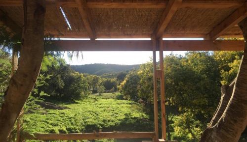 Tribu Lodge