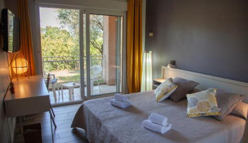 Double or Twin Room with Garden View