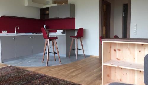 Two-Bedroom Apartment with Terrace