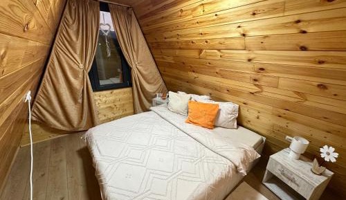 Mobile Home