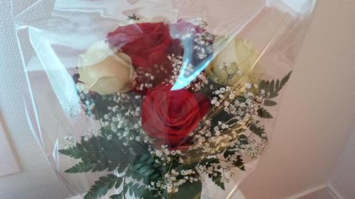 Double Room - Romantic Offer