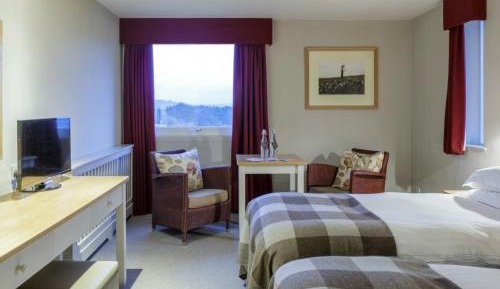 Classic Twin Room (No pets)