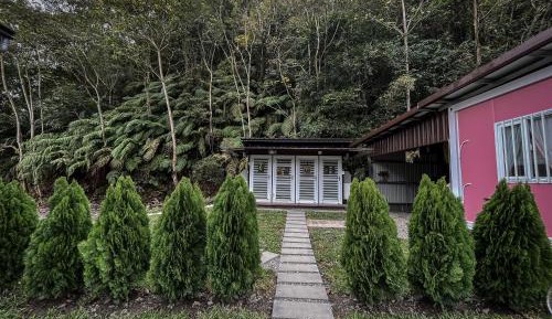 8-Bed Mixed Dormitory Room
