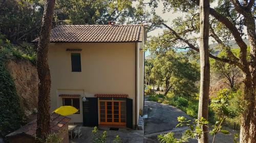 Studio with Garden View