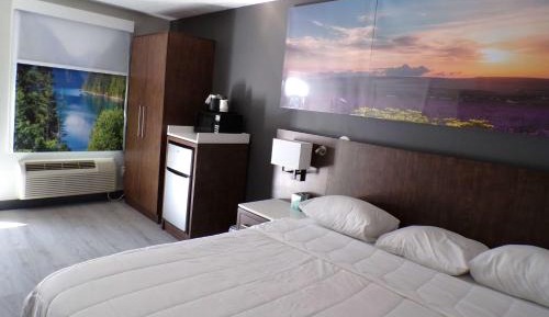 King Studio Suite with Roll-In Shower - Mobility Accessible/Non-Smoking