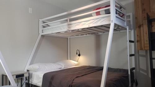 Bed in 4-Bed Mixed Dormitory Room