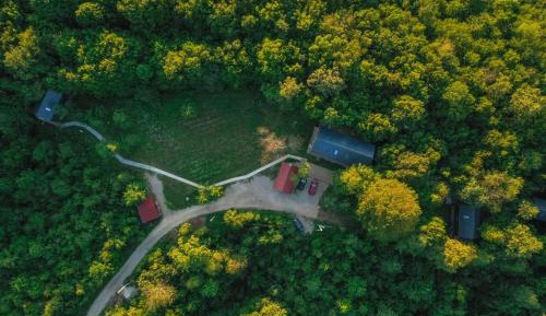 Villa with Garden View