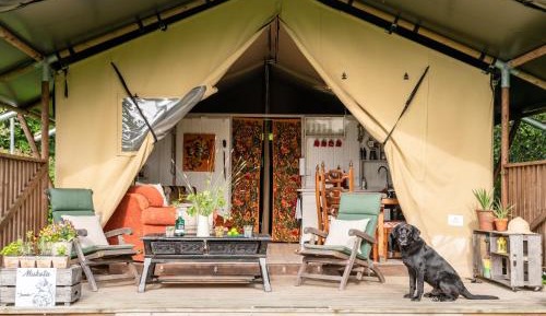Tent