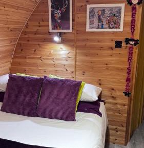 Double Room with Patio