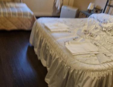 Basic Triple Room