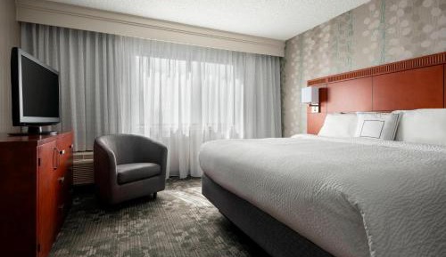 Suite, 1 King, Sofa bed