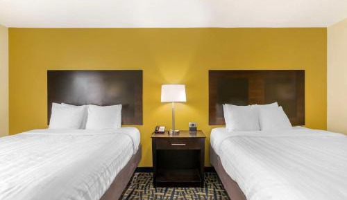 Queen Room with Two Queen Beds - Non-Smoking