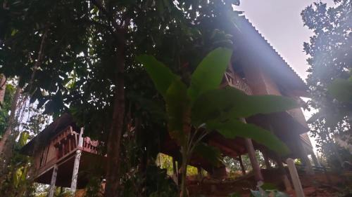 Deluxe Bungalow with Garden View