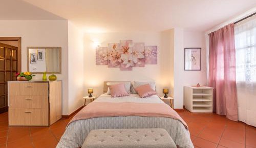 Superior One-Bedroom Apartment
