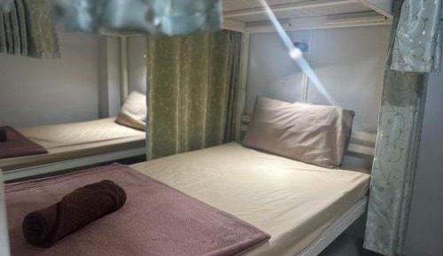 Bunk Bed in Mixed Dormitory Room