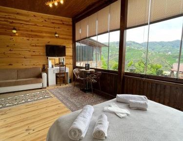 Triple Room with Mountain View