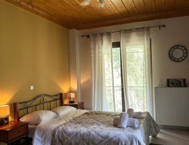 Room #1183493901