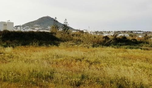 Basic Studio with Land View