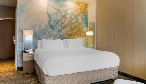 King Room with Sofa Bed - Hearing Accessible