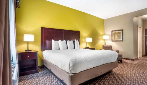 King Room - Non-Smoking