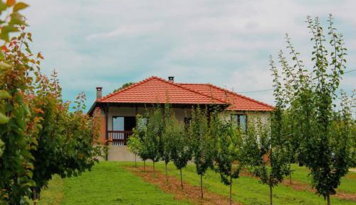 Two-Bedroom Villa