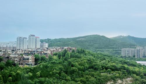 Deluxe Suite, Club level, 1 Bedroom Suite, 1 King, City view