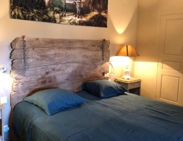 Deluxe Double or Twin Room with Pool Access