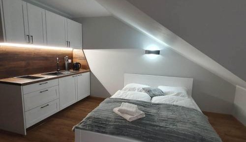 Duplex Apartment