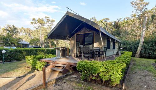 Safari Palm Tent