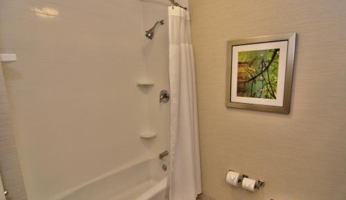 One-Bedroom King Suite