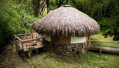 One-Bedroom Cottage