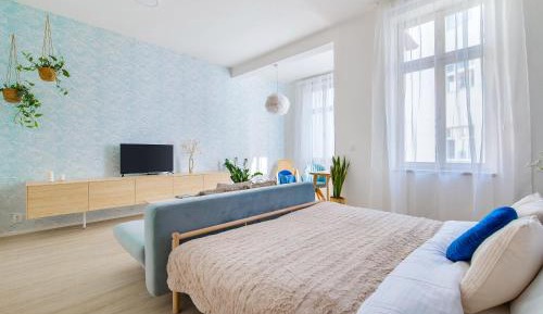 Deluxe Apartment