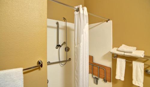 Suite - Mobility Access Roll in Shower/Non-Smoking