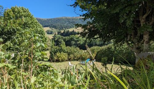 Double Room with Mountain View