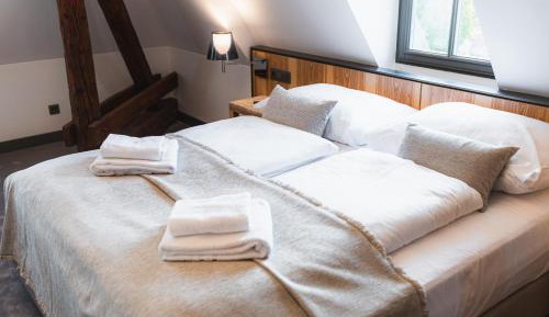 Comfort Suite