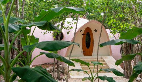 Twin/Double Room